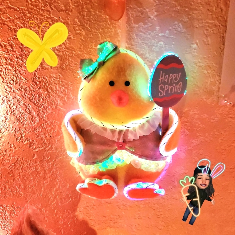 🥕🐰🐤Absolutely Adorable Baby Chick Easter Decorationw Fiber Op Lighting 🐥🥕🐇